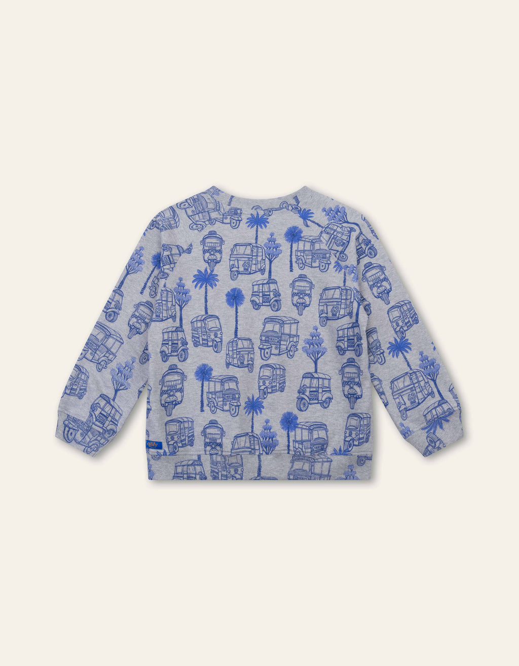 Oilily Boys Hutt Sweatshirt YS26BHJ508
