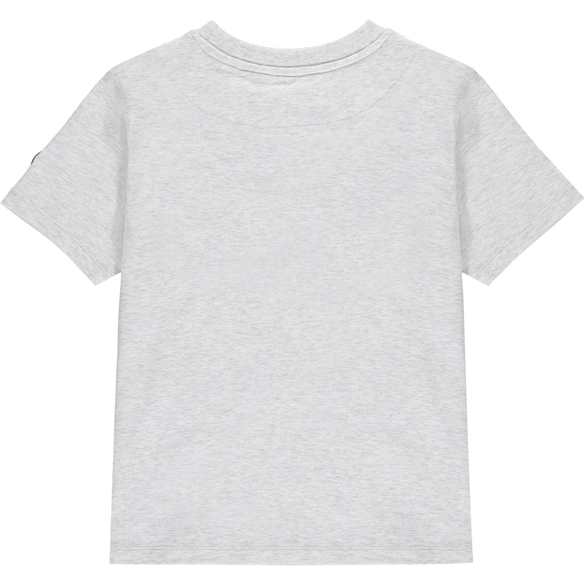 MITCH Grey Pennsylvania T-Shirt SS22405